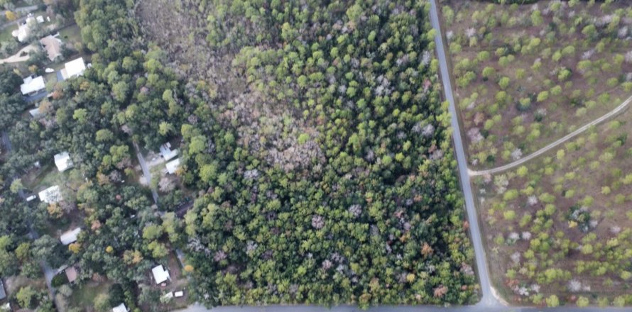 Land in Freeport, Florida № 559145
