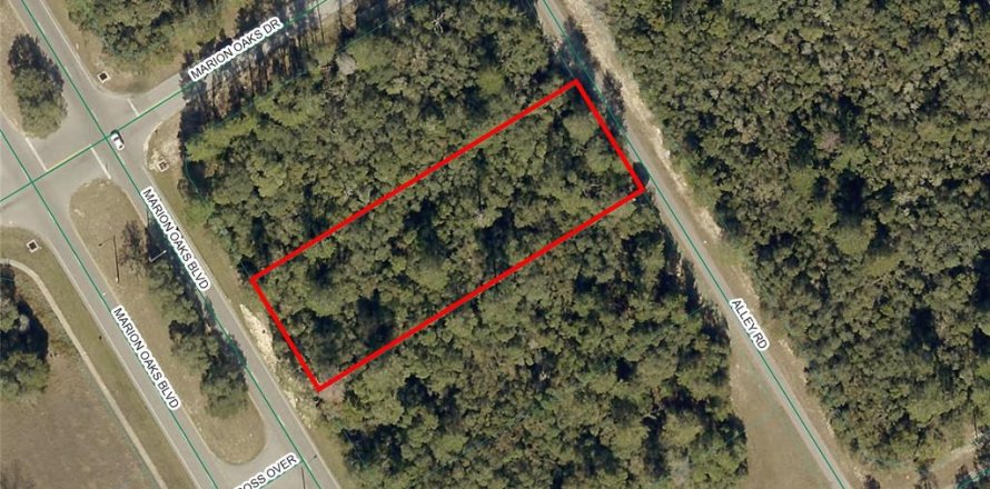 Land in Ocala, Florida № 1755349
