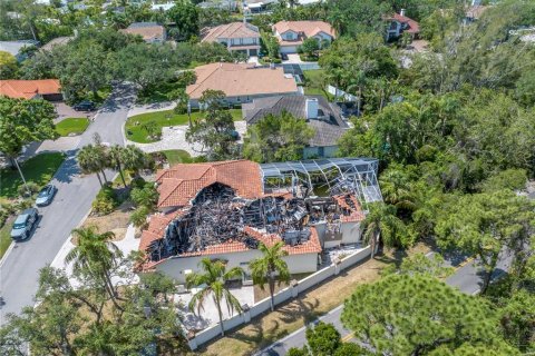 Land in Saint Petersburg, Florida № 1679589 - photo 6