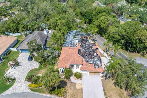 Land in Saint Petersburg, Florida № 1679589 - photo 4