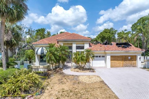 Land in Saint Petersburg, Florida № 1679589 - photo 1