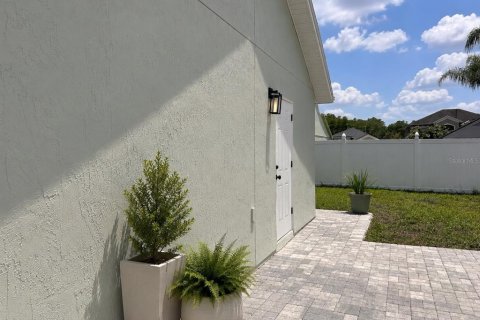 Studio in Orlando, Florida № 2205064