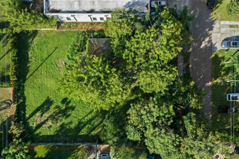 Land in Winter Park, Florida № 1767465 - photo 4