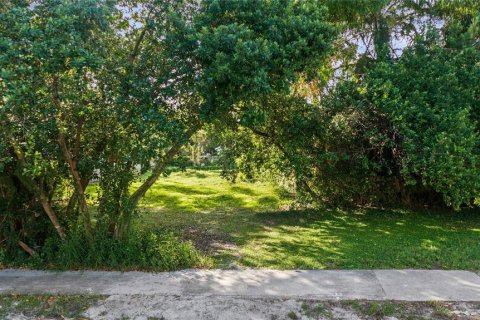 Land in Winter Park, Florida № 1767465 - photo 1
