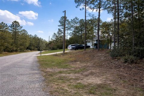 Land in Dunnellon, Florida № 2159819 - photo 2