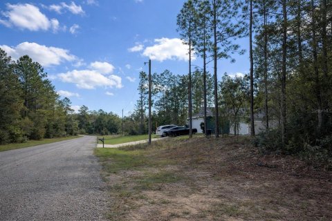 Land in Dunnellon, Florida № 2159819 - photo 3