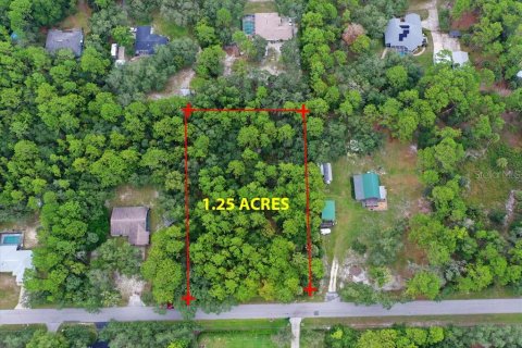 Terrain à vendre à Homosassa, Floride № 2391157 - photo 2