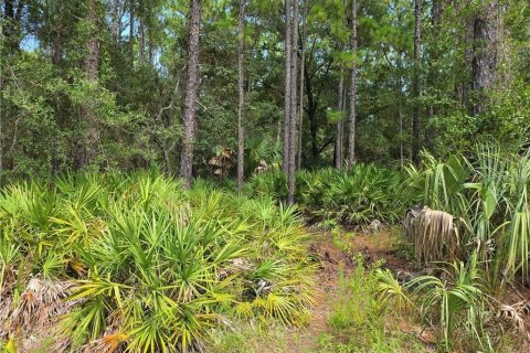 Terrain à vendre à Homosassa, Floride № 2391157 - photo 9