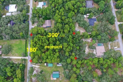 Terrain à vendre à Homosassa, Floride № 2391157 - photo 3