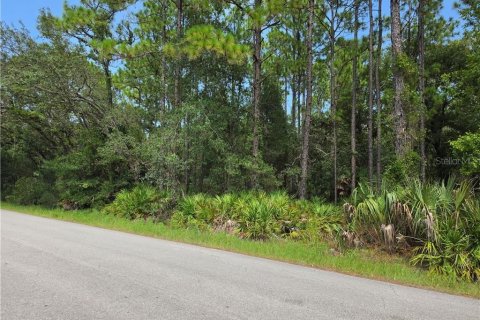 Terrain à vendre à Homosassa, Floride № 2391157 - photo 8
