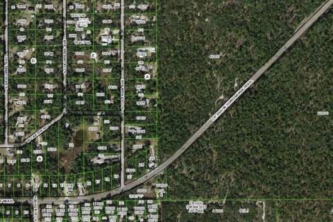 Terrain à vendre à Homosassa, Floride № 2391157 - photo 6