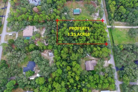 Terrain à vendre à Homosassa, Floride № 2391157 - photo 5