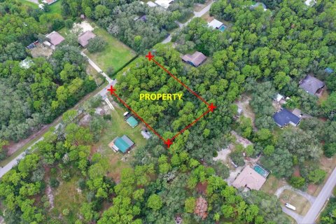 Terrain à vendre à Homosassa, Floride № 2391157 - photo 4