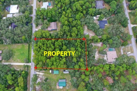 Terrain à Homosassa, Floride № 2391157
