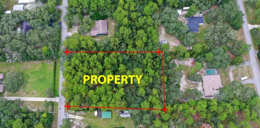 Terrain à Homosassa, Floride № 2391157