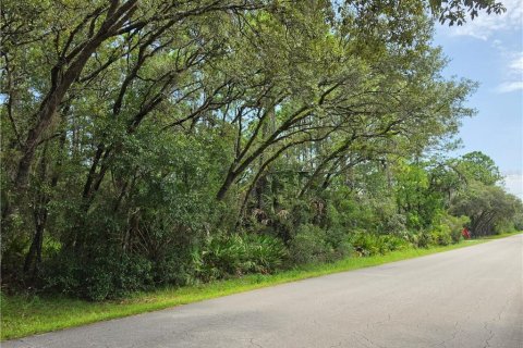 Terrain à vendre à Homosassa, Floride № 2391157 - photo 10