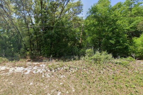 Land in Ocklawaha, Florida № 2391363