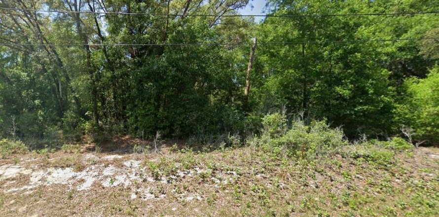 Land in Ocklawaha, Florida № 2391363