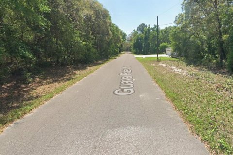Land in Ocklawaha, Florida № 2391363 - photo 2