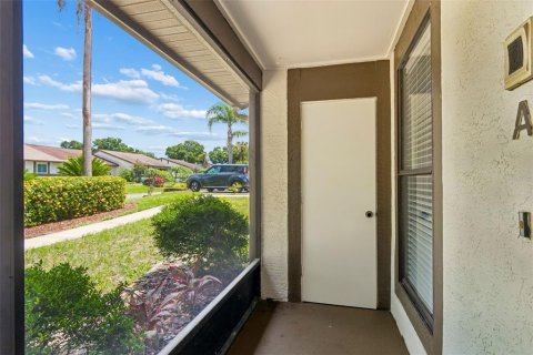 Villa ou maison à louer à Palm Harbor, Floride: 2 chambres, 95.69 m2 № 2096911 - photo 8