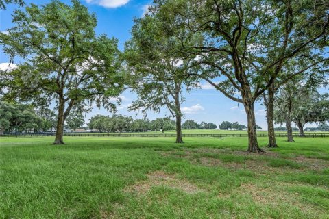 Villa ou maison à vendre à Ocala, Floride: 4 chambres, 319.21 m2 № 2131503 - photo 15