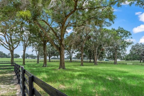 Villa ou maison à vendre à Ocala, Floride: 4 chambres, 319.21 m2 № 2131503 - photo 13