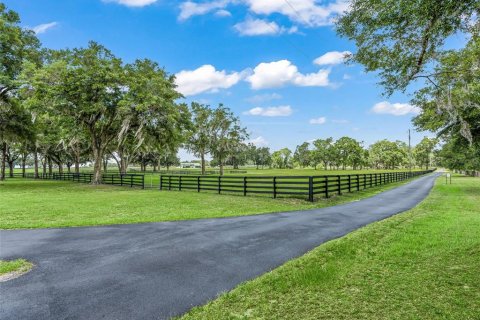 Villa ou maison à vendre à Ocala, Floride: 4 chambres, 319.21 m2 № 2131503 - photo 3