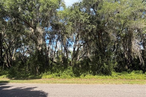 Land in Ocklawaha, Florida № 2203698