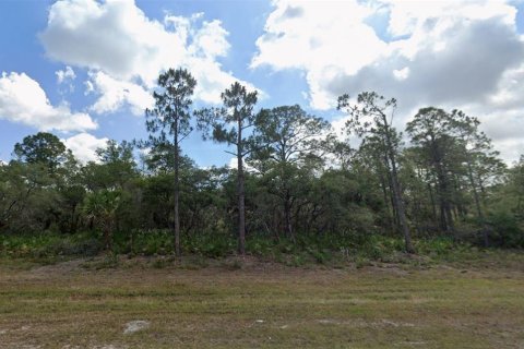 Terrain à vendre à Port Charlotte, Floride № 2165155 - photo 3