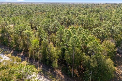 Terreno en venta en Ocala, Florida № 1525682 - foto 18