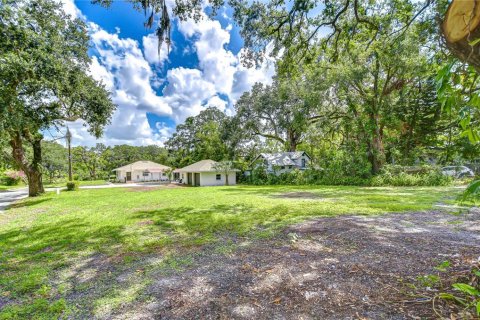 Land in Tampa, Florida № 2116068 - photo 6
