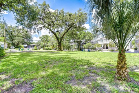 Land in Tampa, Florida № 2116068 - photo 2