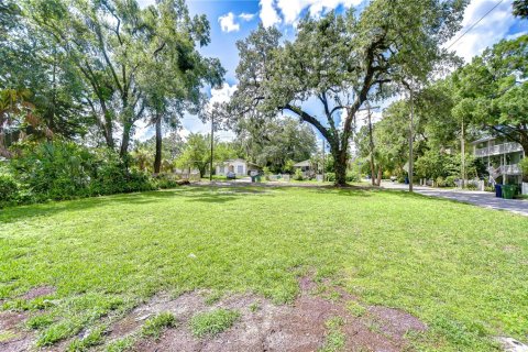 Terreno en Tampa, Florida № 2116068
