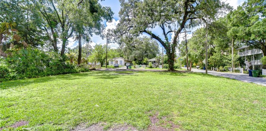 Land in Tampa, Florida № 2116068