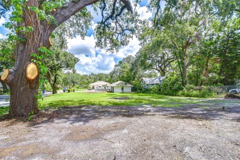 Land in Tampa, Florida № 2116068 - photo 5