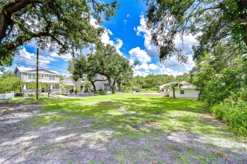 Land in Tampa, Florida № 2116068 - photo 3