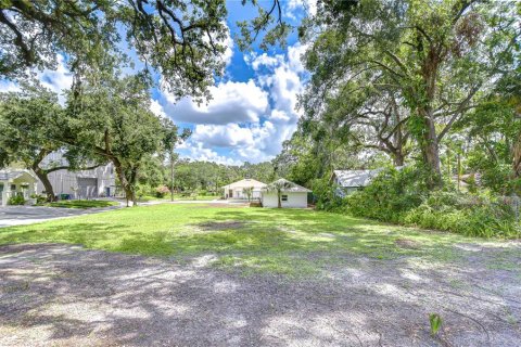 Land in Tampa, Florida № 2116068 - photo 4