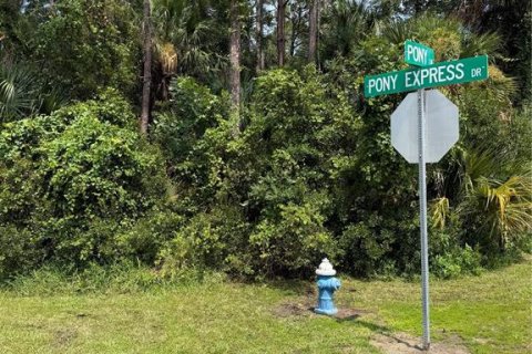 Terreno en Palm Coast, Florida № 2212401