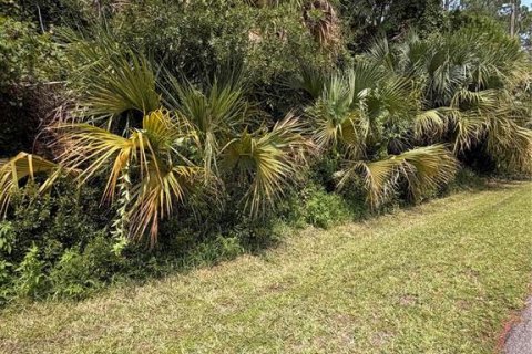 Terrain à vendre à Palm Coast, Floride № 2212401 - photo 4