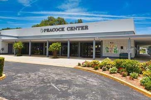 Copropriété à louer à Seminole, Floride: 2 chambres, 81.2 m2 № 2320830 - photo 19