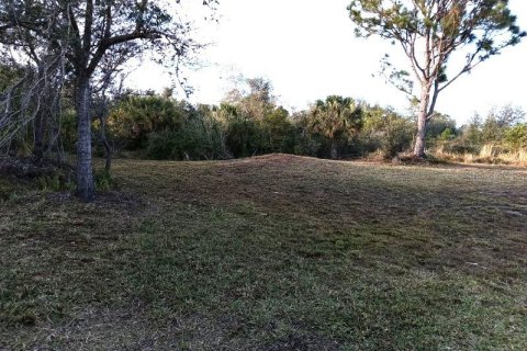 Terrain à vendre à Punta Gorda, Floride № 2159525 - photo 6