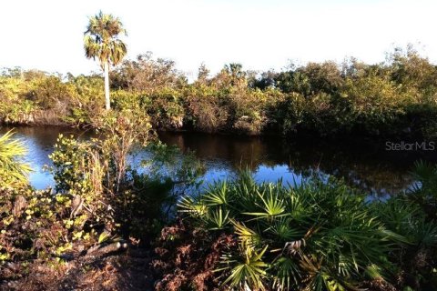 Terrain à vendre à Punta Gorda, Floride № 2159525 - photo 3