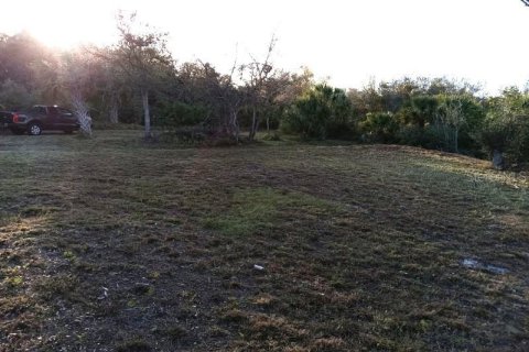 Terrain à vendre à Punta Gorda, Floride № 2159525 - photo 4