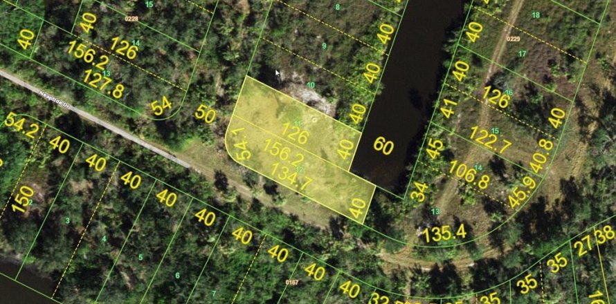 Terrain à Punta Gorda, Floride № 2159525