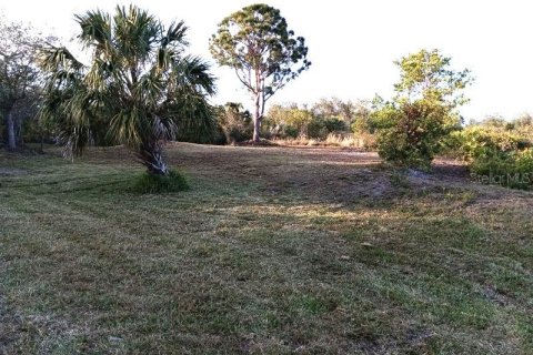 Terrain à vendre à Punta Gorda, Floride № 2159525 - photo 5