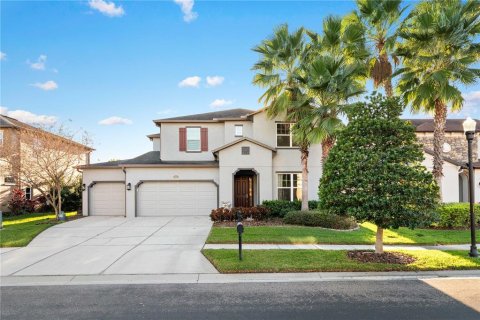 House in Wesley Chapel, Florida 4 bedrooms, 272.48 sq.m. № 2239148