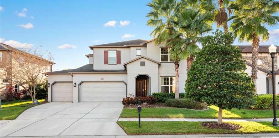 House in Wesley Chapel, Florida 4 bedrooms, 272.48 sq.m. № 2239148