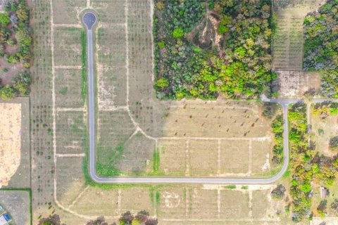 Land in Apopka, Florida № 885267 - photo 22