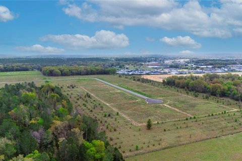 Land in Apopka, Florida № 885267 - photo 16