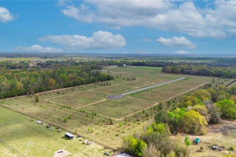 Land in Apopka, Florida № 885267 - photo 15